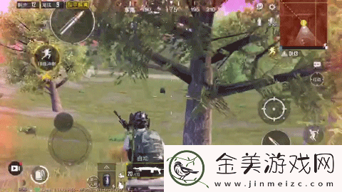 和平精英圣域宝箱在哪里