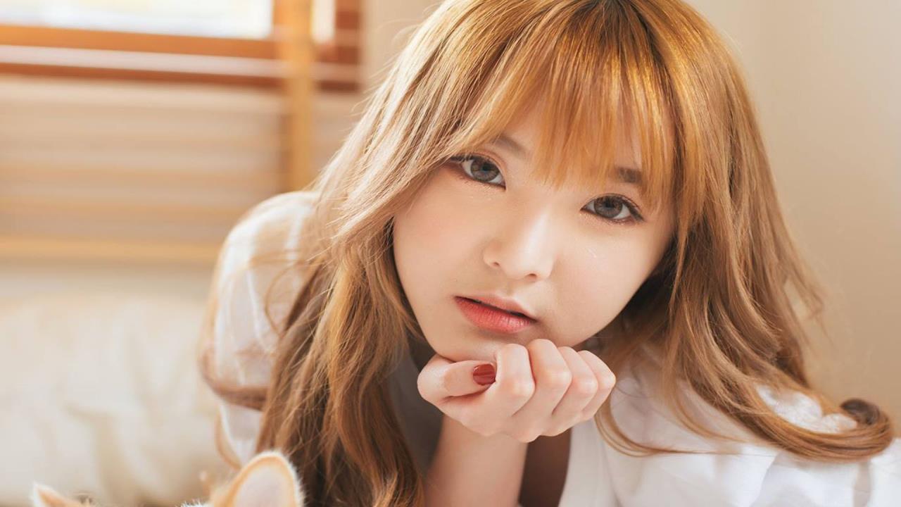 聚力平台阴阳师，传统与现代的完美融合