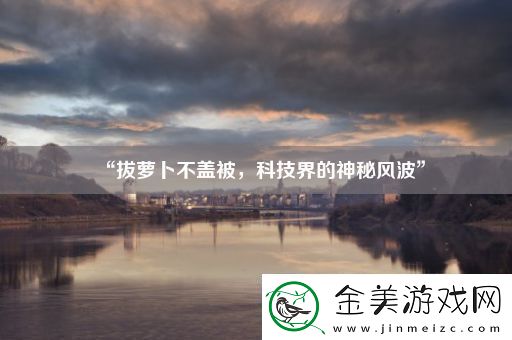 “拔萝卜不盖被-科技界的神秘风波”