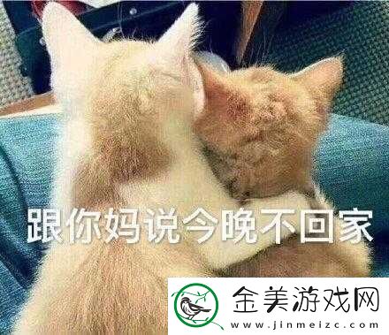 妈妈说今晚爸爸不回家缘由