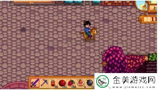 星露谷物语海莉事情在哪里