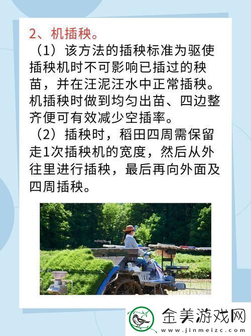 夫妻插秧38种方法图片大全友：用心和爱编织田间情