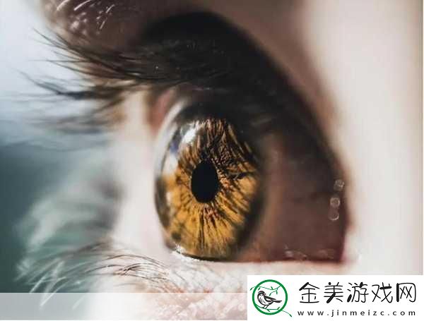 噪声对眼睛和视力-9.27-震惊！噪声竟会如此影响你的眼睛