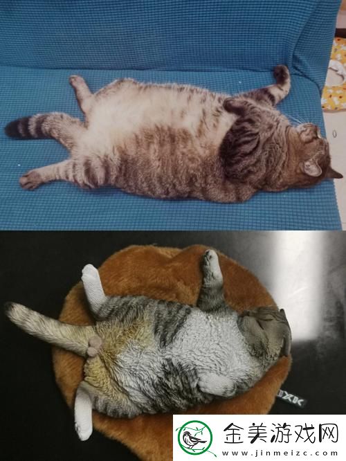 疯狂科技潮！除了柚子猫和玩偶