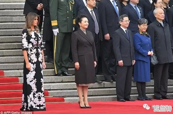 总统夫人法国满天星：在浪漫之都展现优雅风采-彰显国际形象与文化交流的重要性