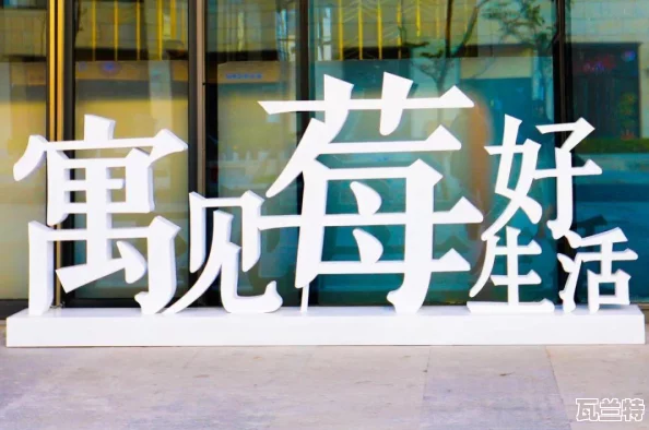 莓视频app在线观看一区：畅享高清影视资源-尽情体验多样化的观影乐趣与精彩内容！