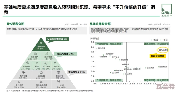 2024国精产品一二二线：新兴市场趋势与消费升级的深度分析-助力品牌在竞争中脱颖而出