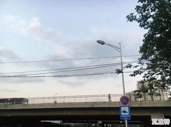 又大又长又租又大的房子叫什么-这类房子的特点和市场需求分析-带你了解更多关于住房选择的信息
