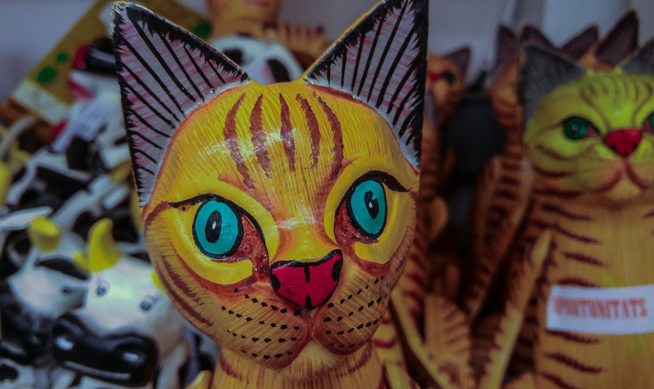 英雄联盟中的猫咪演员，角色解析与游戏策略