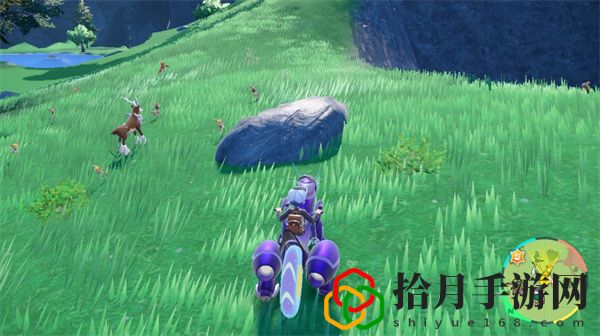 宝可梦朱紫龙之舞技能机位置：装备选择与属性强化攻略