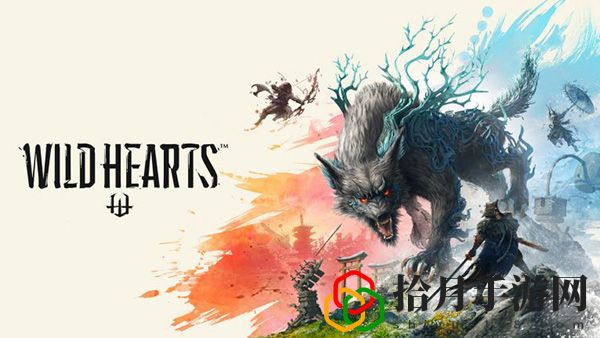 狂野之心电脑配置要求：神秘任务全解析