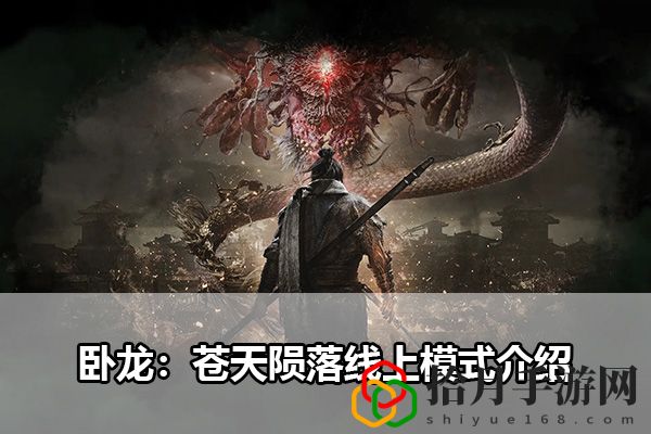 卧龙：苍天陨落线上模式介绍：善于利用游戏内的特殊道具拾月攻略