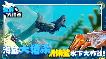 《见缝来一刀》玩法解析：体验快节奏刺客之路！