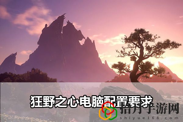 狂野之心电脑配置要求：神秘任务全解析拾月攻略