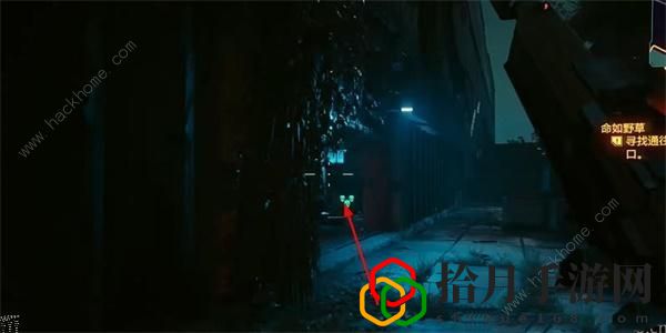 赛博朋克2077雨魂灵怎么得 雨魂灵获取攻略