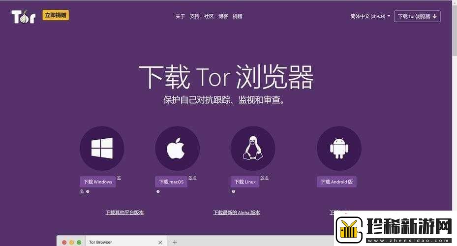 外国站开放的浏览器：安全浏览新选择