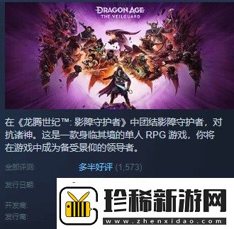 龙腾世纪4Steam多半好评-DEI内容碍眼