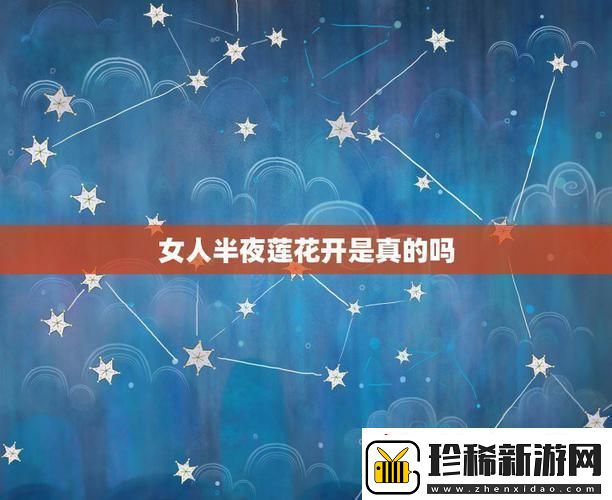 夜半莲花-创新绽放
