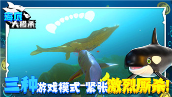 《「疯狂骑士团」兑换码获取全攻略：解锁宝藏之旅，轻松提升战力》！