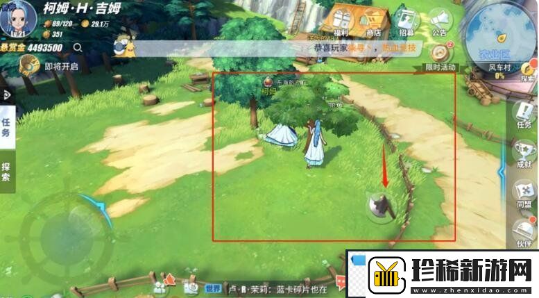 航海王热血航线木材在哪