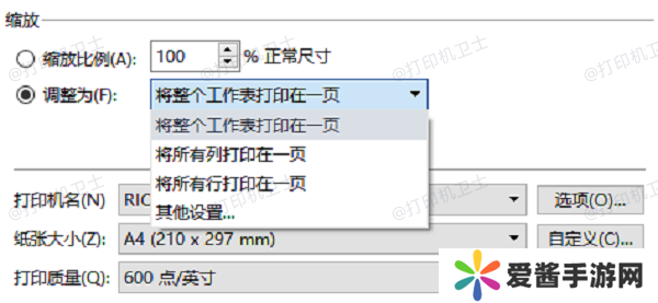 在打印设置中调整尺寸