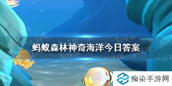 鲨鱼需要一直游动吗 神奇海洋3月29日答案最新